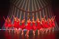Mini Stars Circus 1A  089